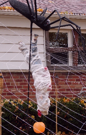 spider